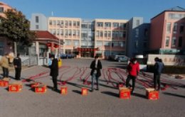 開門迎福，大展鴻“兔”